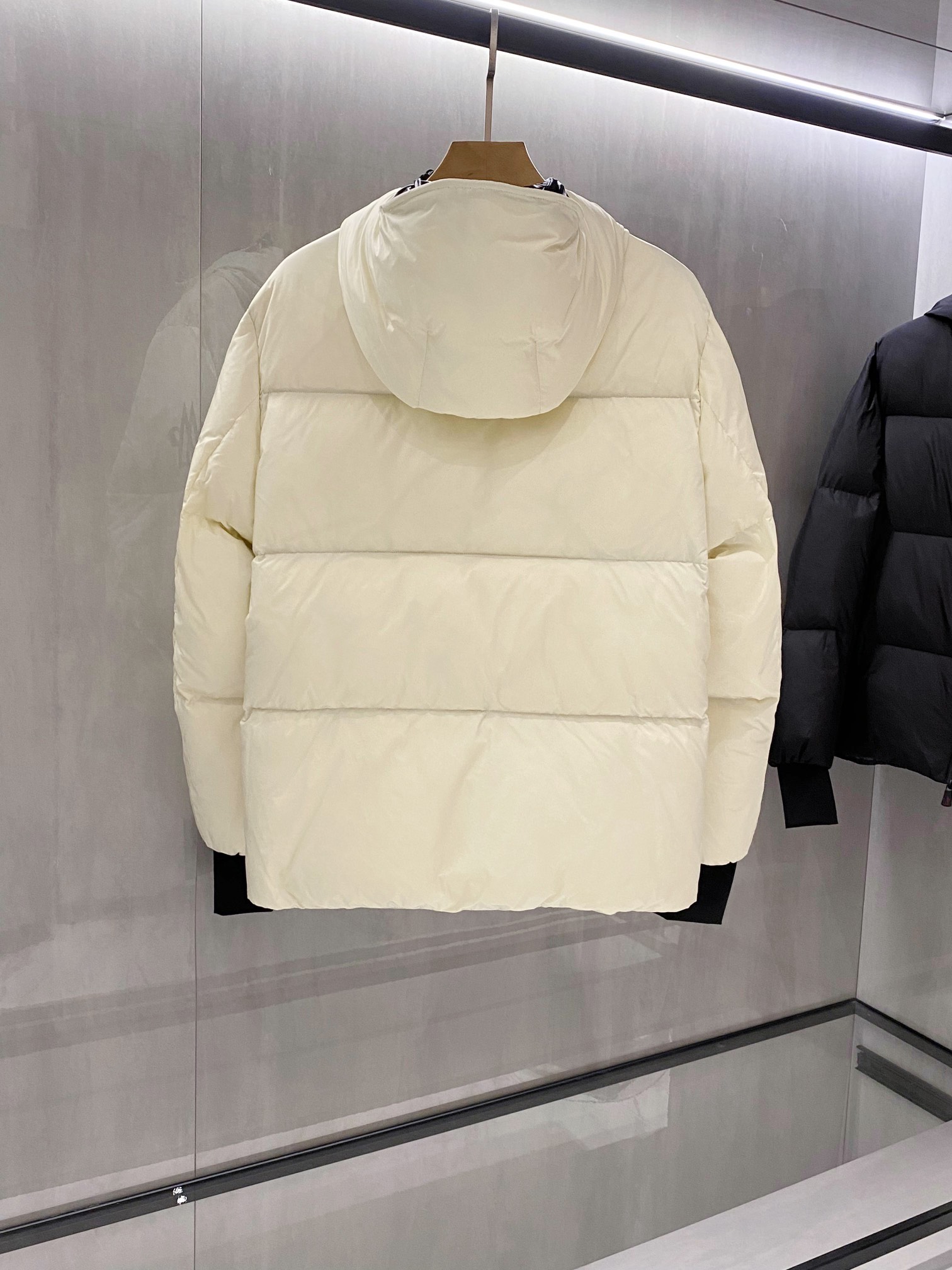 Moncler Down Jackets